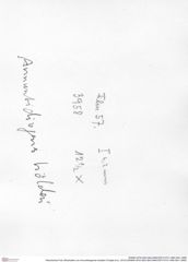Historisches Foto (Rückseite) von Annuntidiogenes hoelderi (Fraaije et al., 2019) (NHMW-AFW-GEO-BACHMAYER-FOTO-1990-0041-3958)
